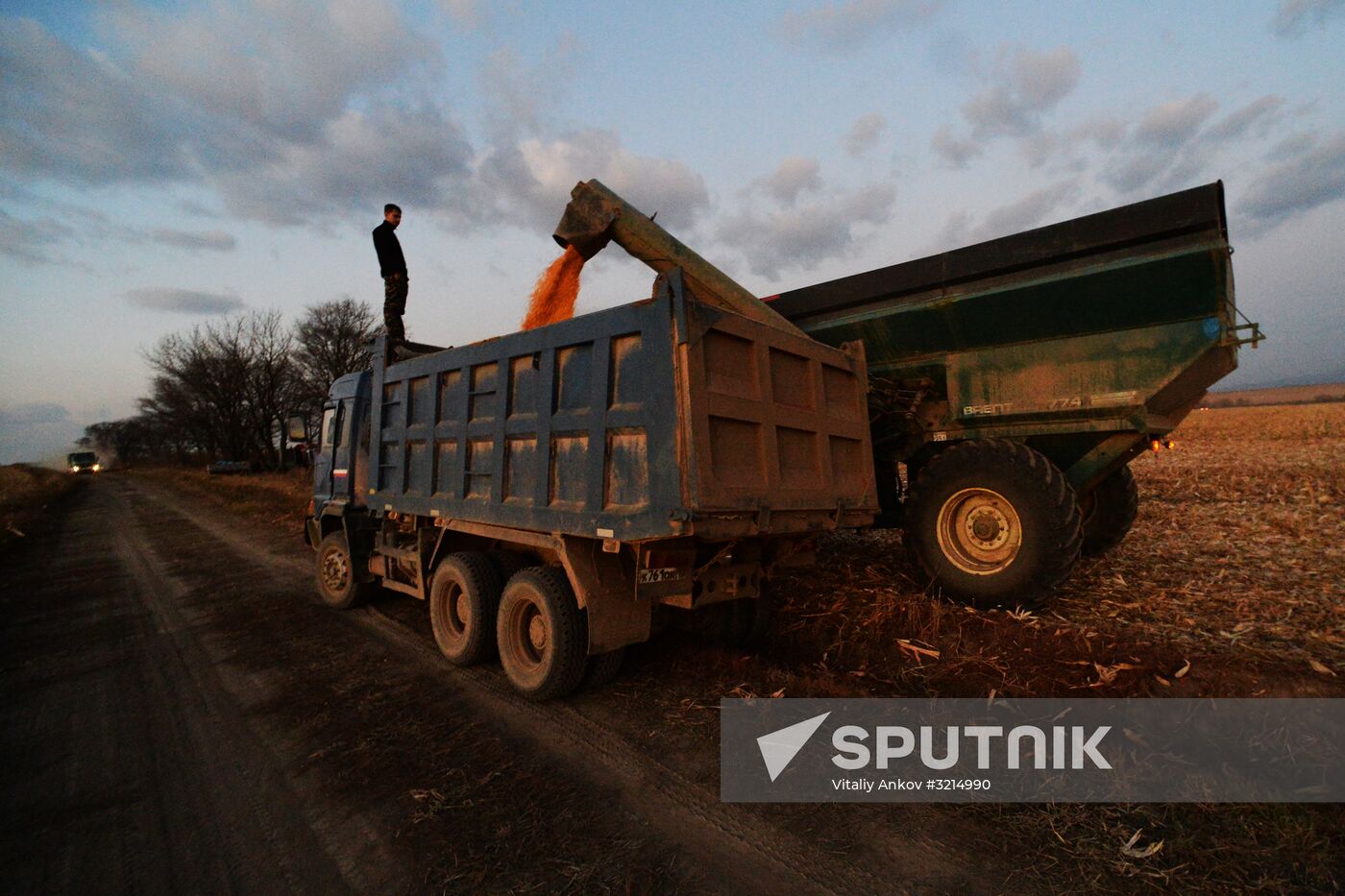 Corn harvesting in Primorye Territory