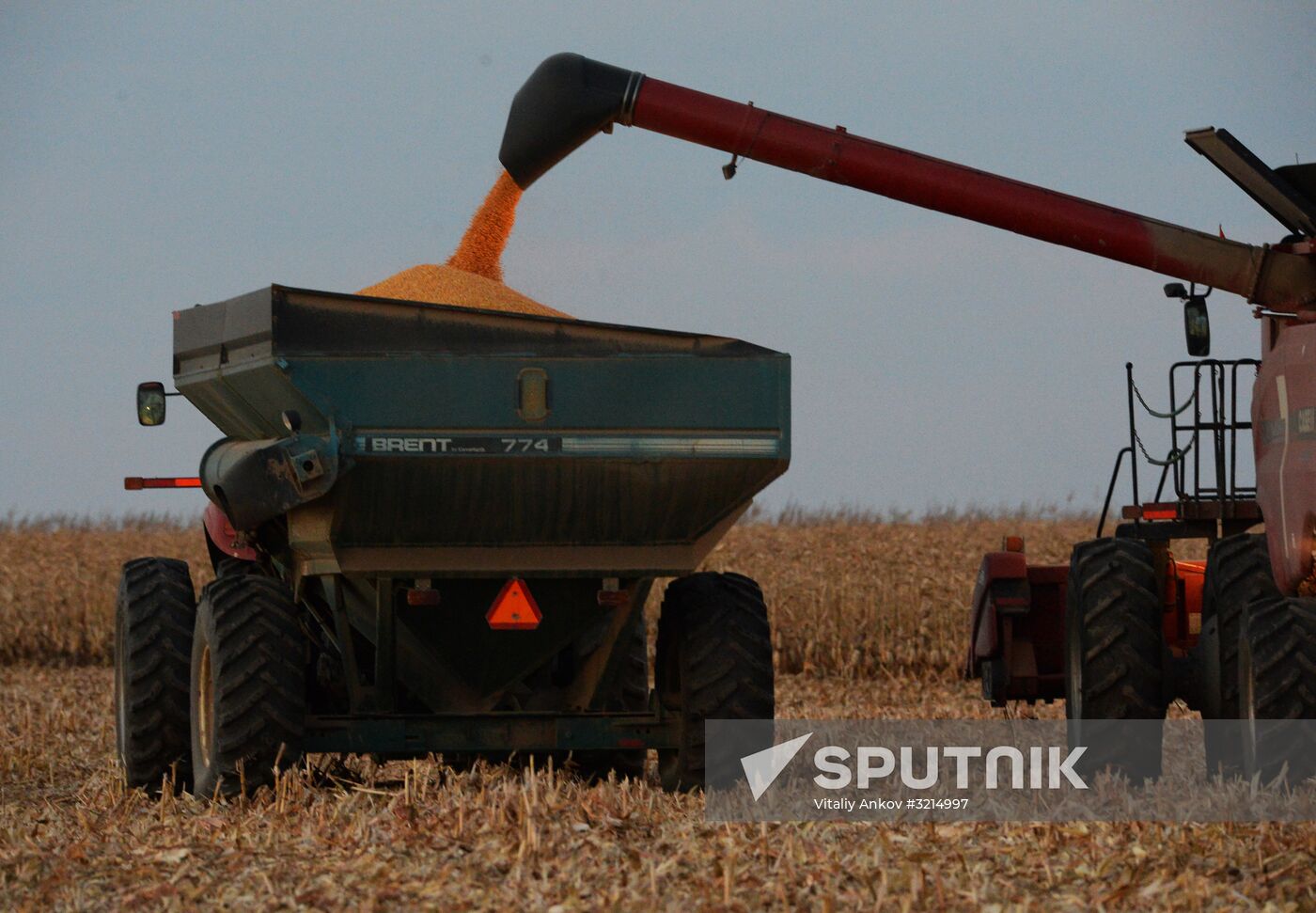 Corn harvesting in Primorye Territory