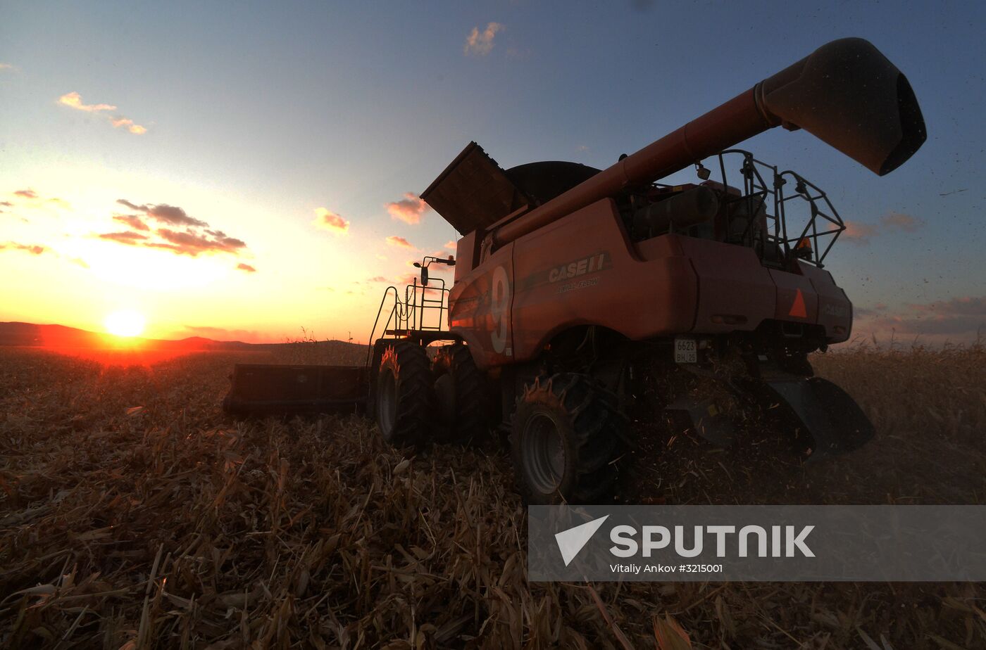 Corn harvesting in Primorye Territory