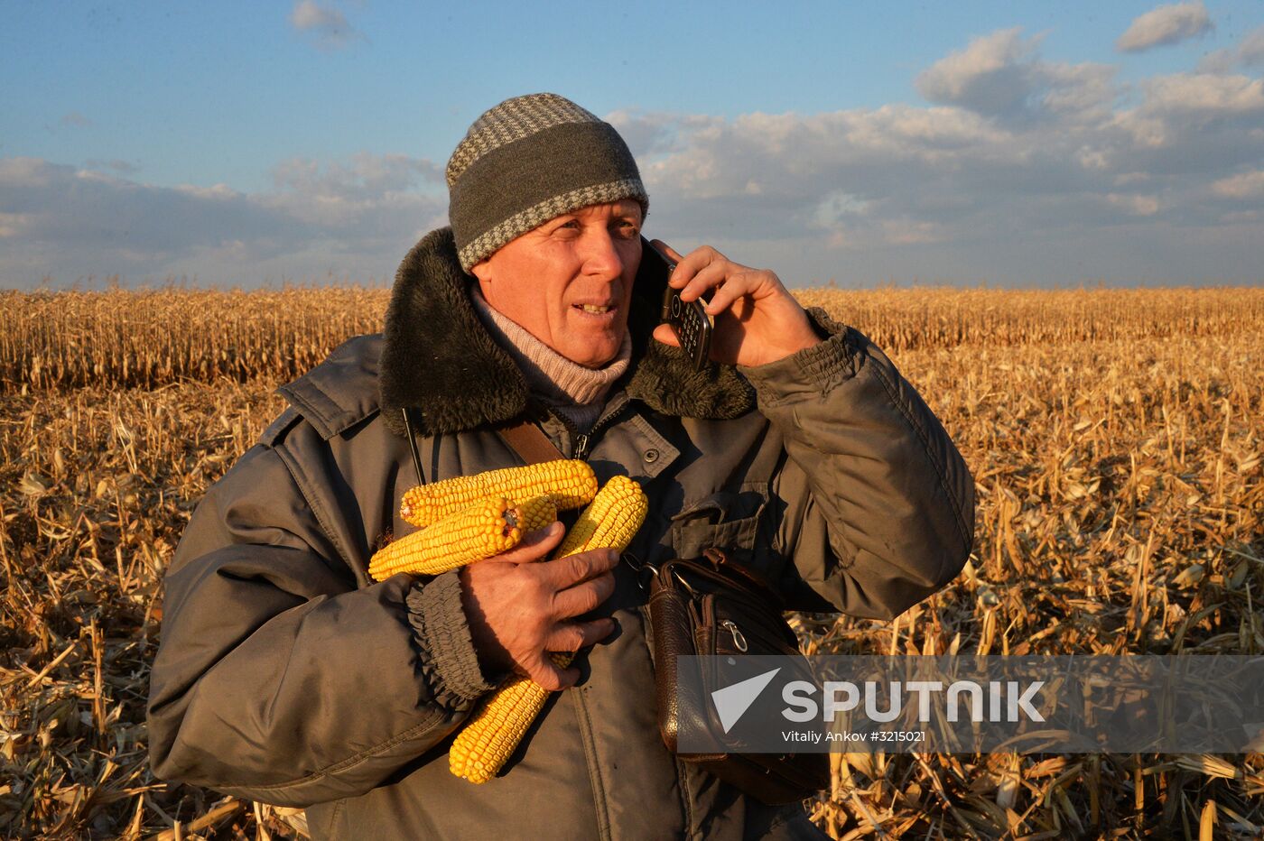 Corn harvesting in Primorye Territory