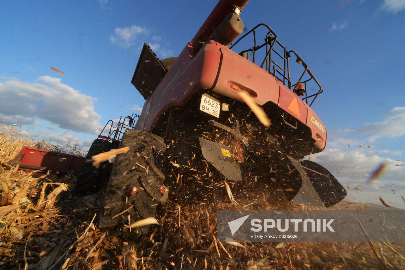 Corn harvesting in Primorye Territory