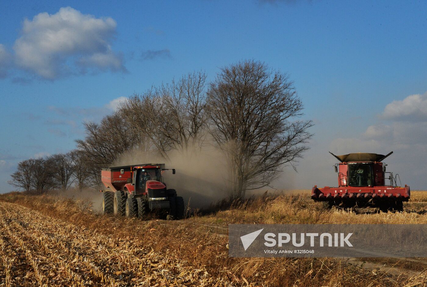 Corn harvesting in Primorye Territory