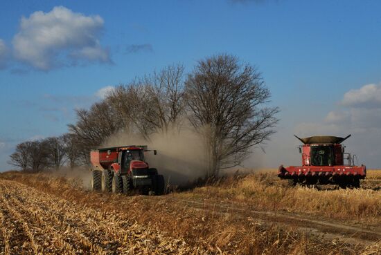 Corn harvesting in Primorye Territory