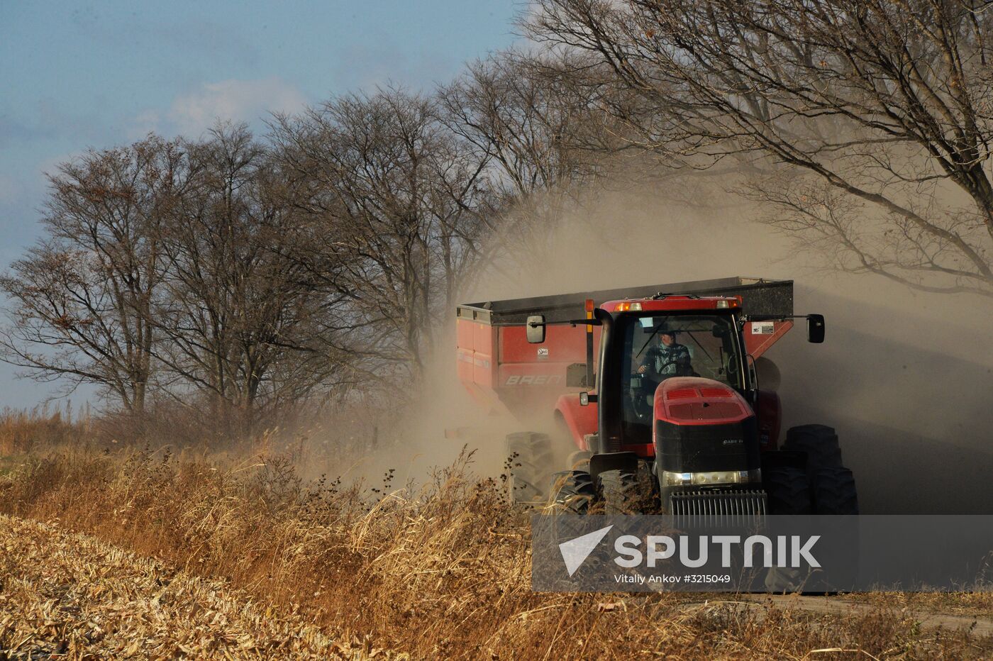 Corn harvesting in Primorye Territory