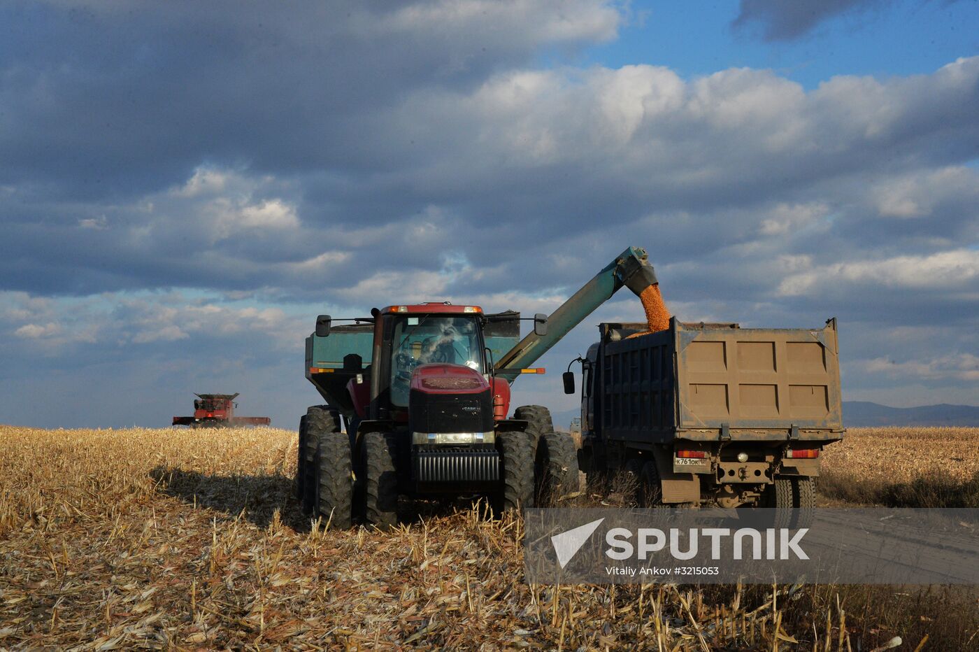 Corn harvesting in Primorye Territory