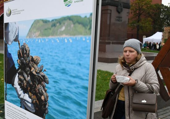 2017 Russian Eco Week opens in Moscow