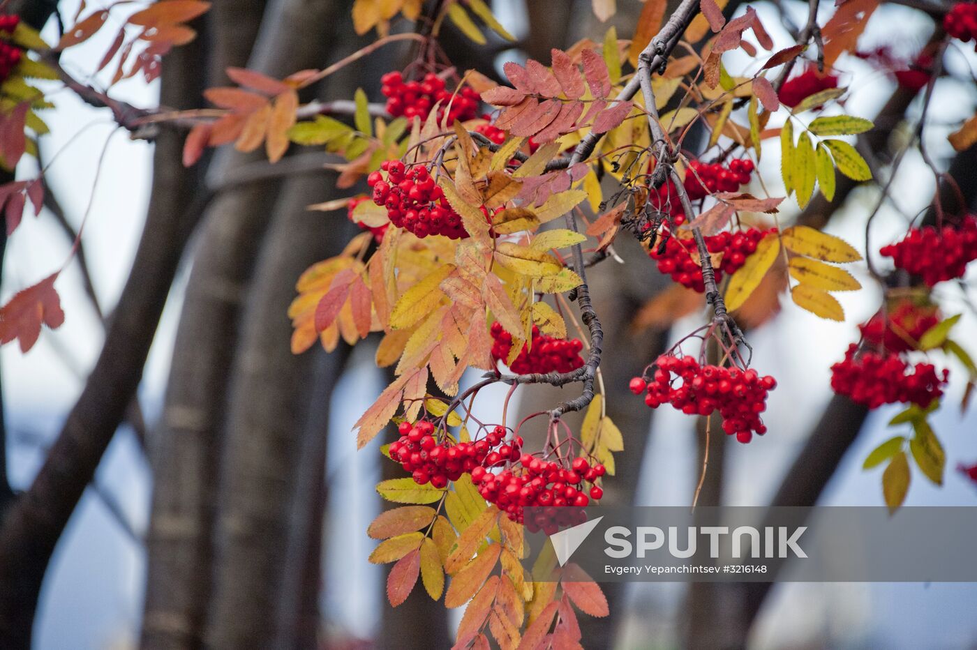 Cities of Russia. Murmansk