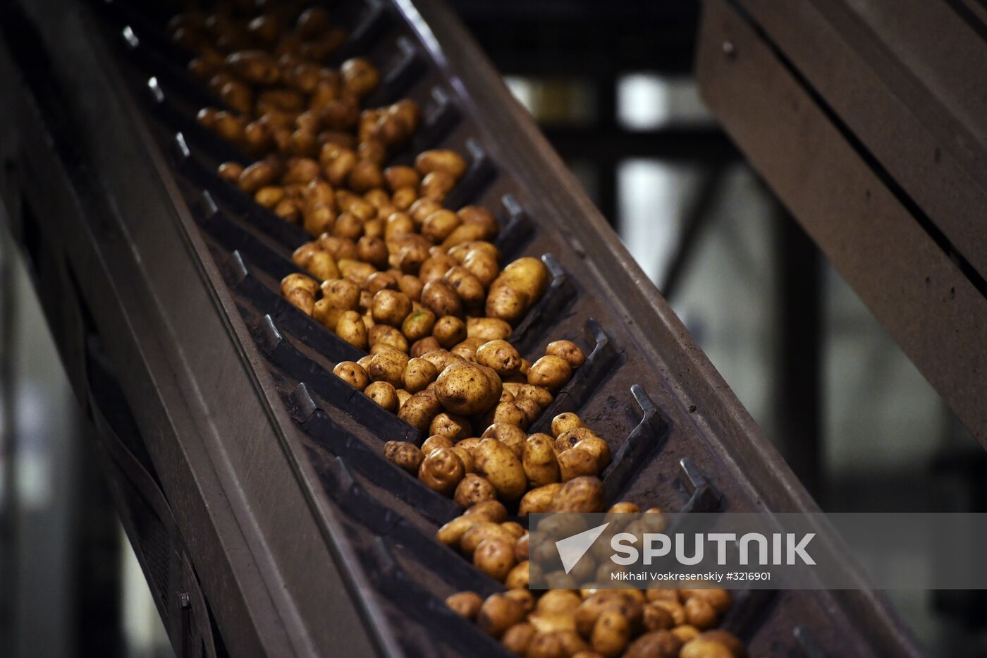 New snack production line opens at PepsiCo plant