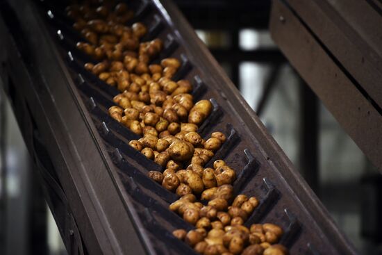 New snack production line opens at PepsiCo plant