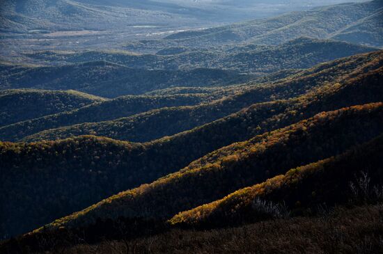 Mount Vorobei in Primorye Territory