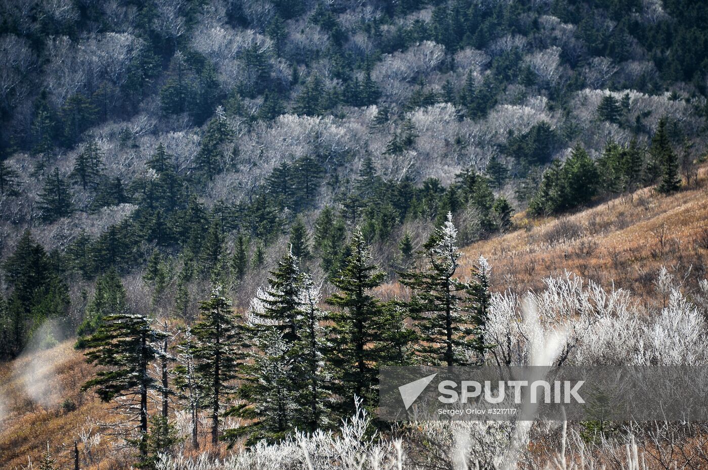 Mount Vorobei in Primorye Territory