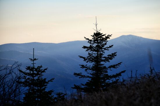 Mount Vorobei in Primorye Territory