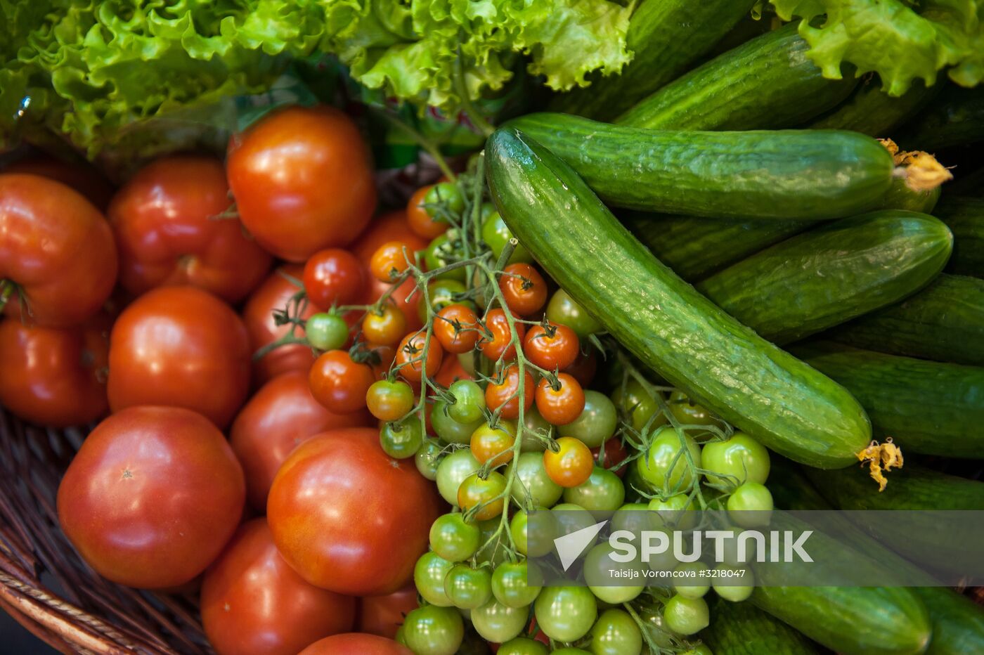 Golden Fall agriculture exhibition in Tomsk