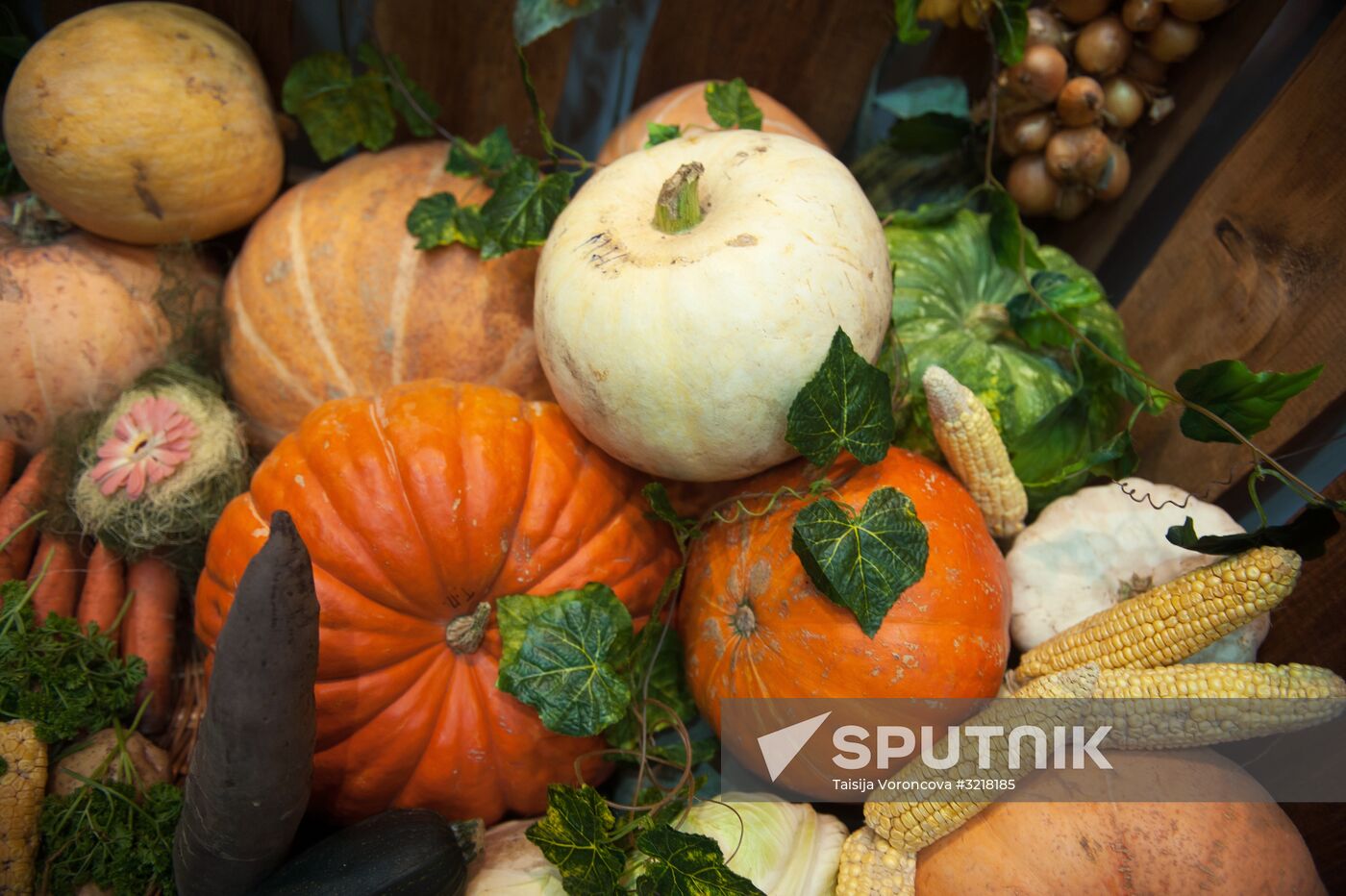 Golden Fall agriculture exhibition in Tomsk