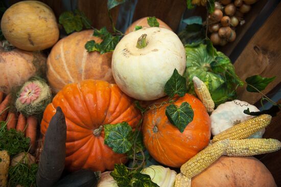 Golden Fall agriculture exhibition in Tomsk