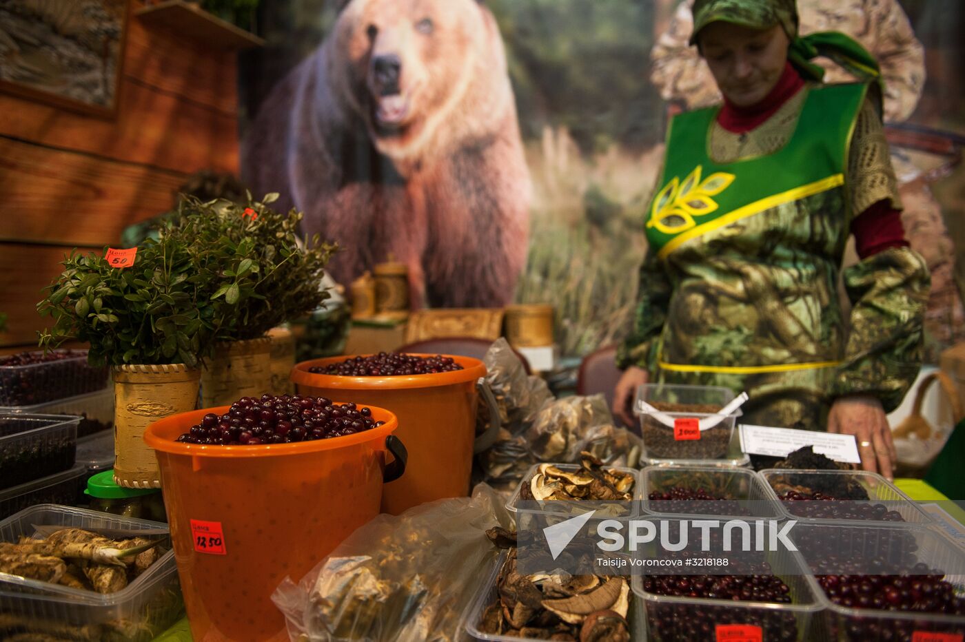 Golden Fall agriculture exhibition in Tomsk