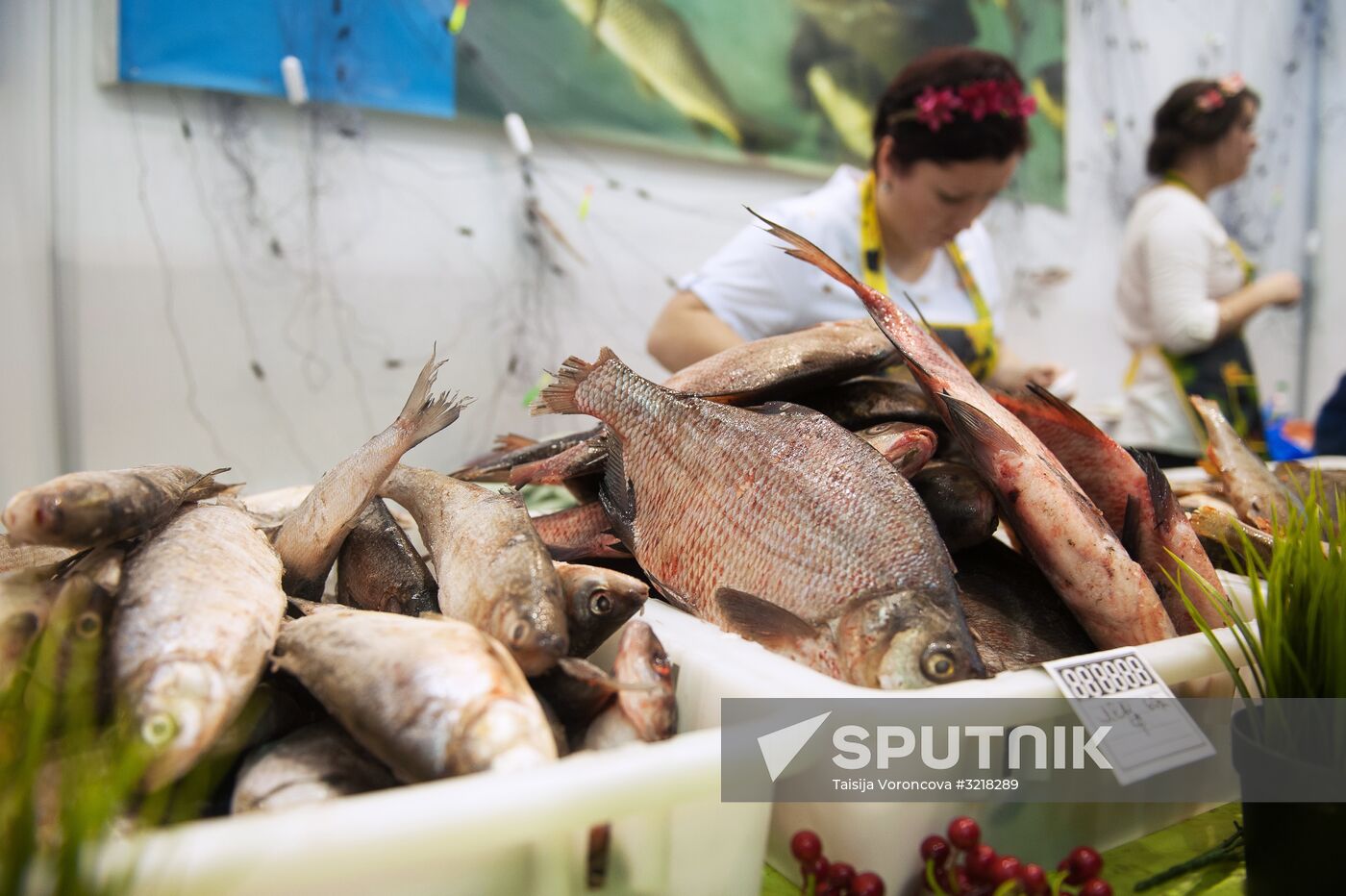 Golden Autumn agricultural exhibition in Tomsk