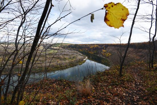 Autumn in Voronezh Region