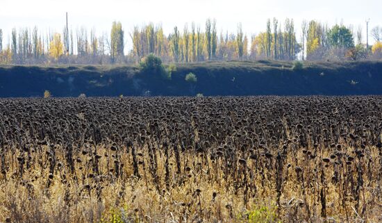 Autumn in Voronezh Region