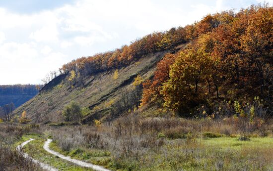 Autumn in Voronezh Region