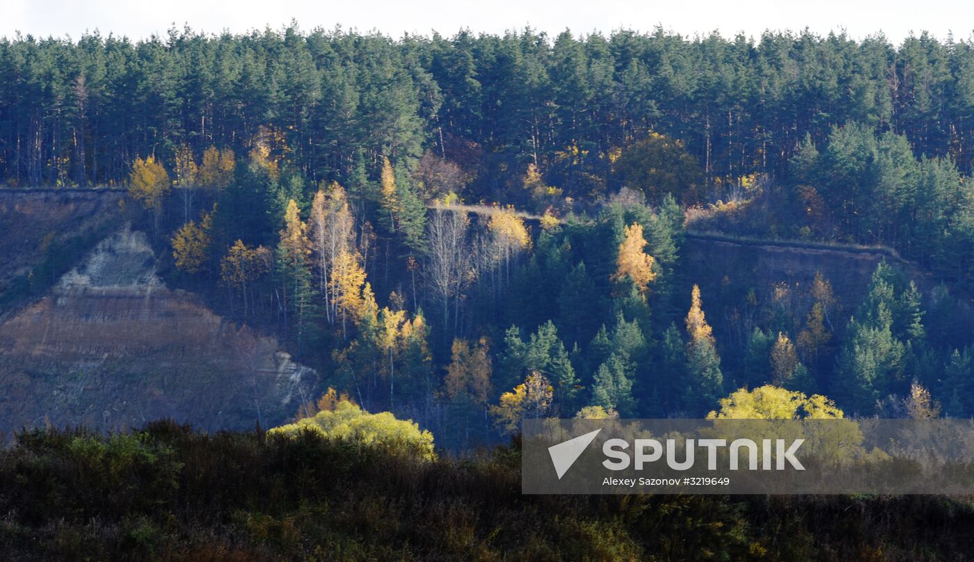 Autumn in Voronezh Region