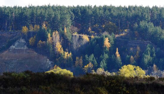 Autumn in Voronezh Region