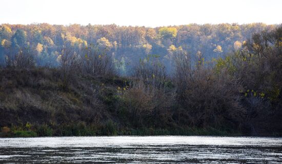 Autumn in Voronezh Region