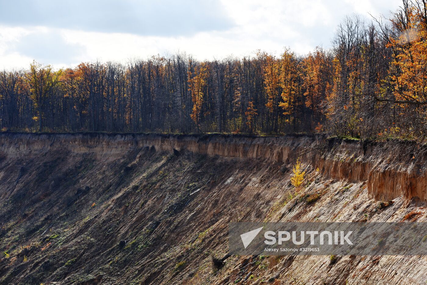 Autumn in Voronezh Region