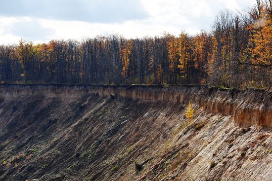Autumn in Voronezh Region