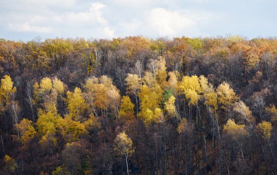Autumn in Voronezh Region
