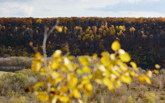 Autumn in Voronezh Region