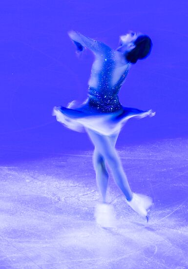 ISU Grand Prix of Figure Skating. Rostelecom Cup. Exhibition gala