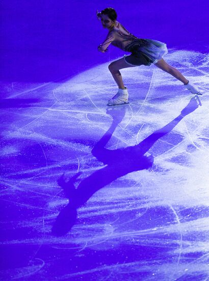 ISU Grand Prix of Figure Skating. Rostelecom Cup. Exhibition gala