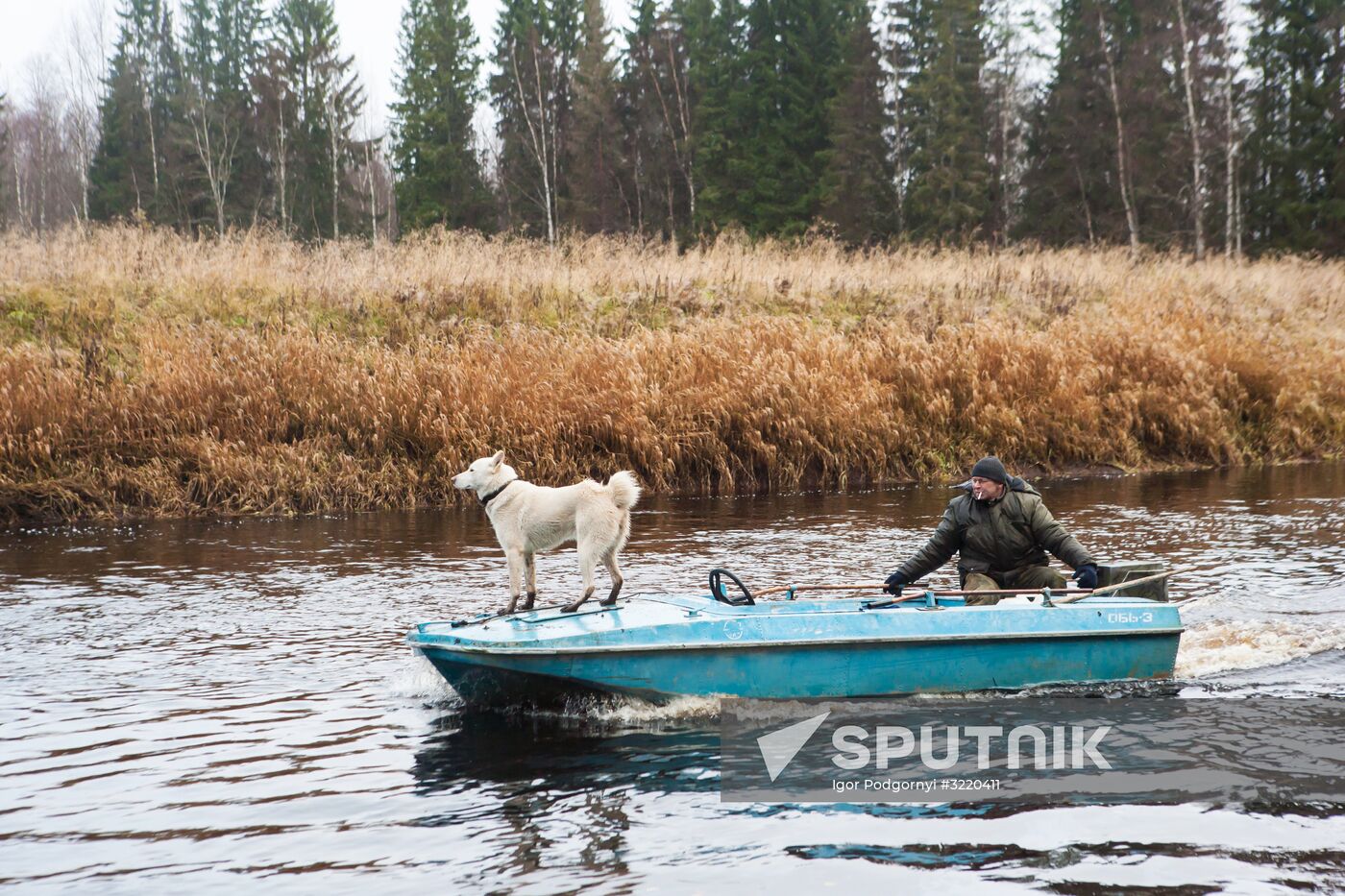 Autumn in Karelia