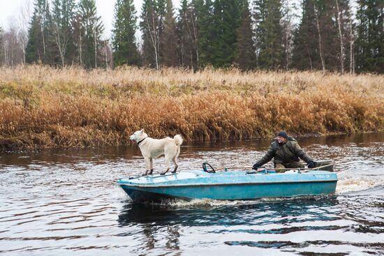 Autumn in Karelia