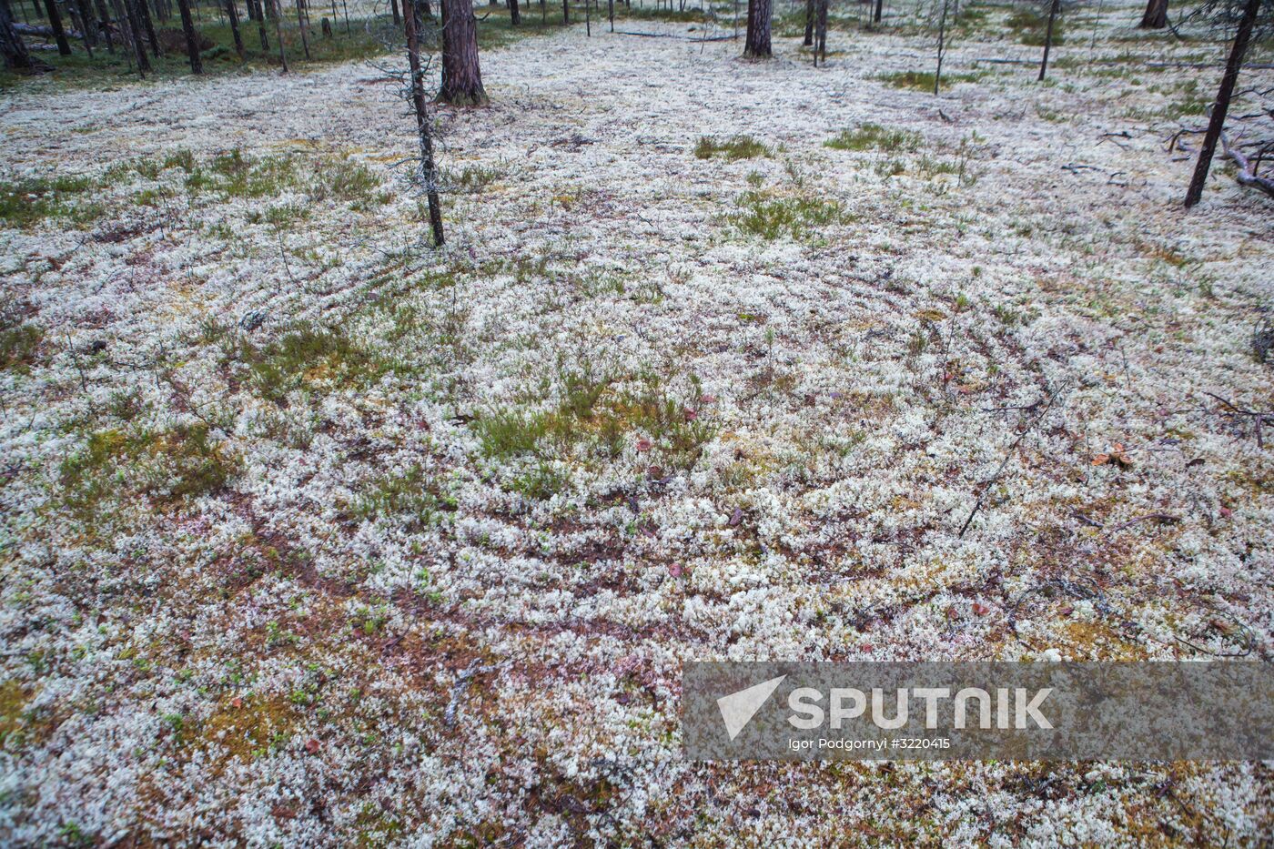 Autumn in Karelia