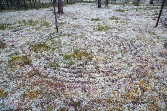 Autumn in Karelia