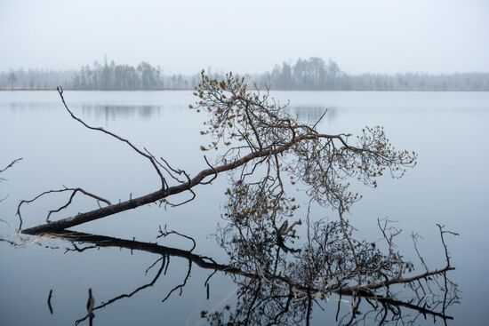 Autumn in Karelia