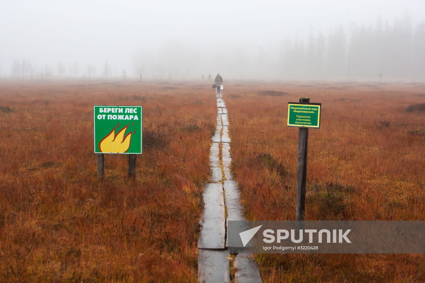 Autumn in Karelia
