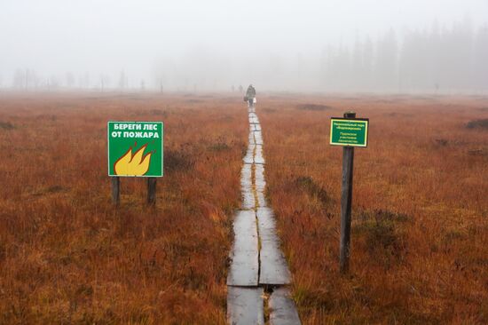 Autumn in Karelia