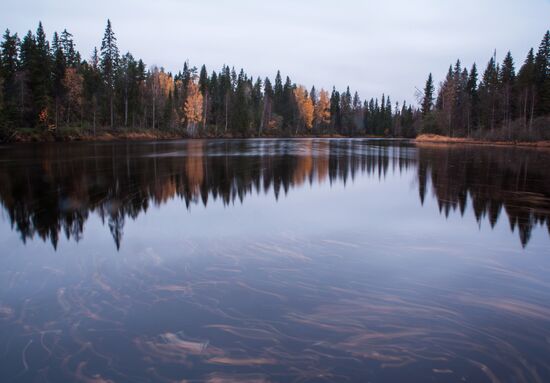 Autumn in Karelia