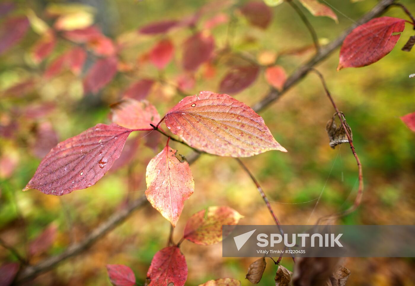 Autumn in Krasnodar Territory