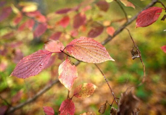 Autumn in Krasnodar Territory