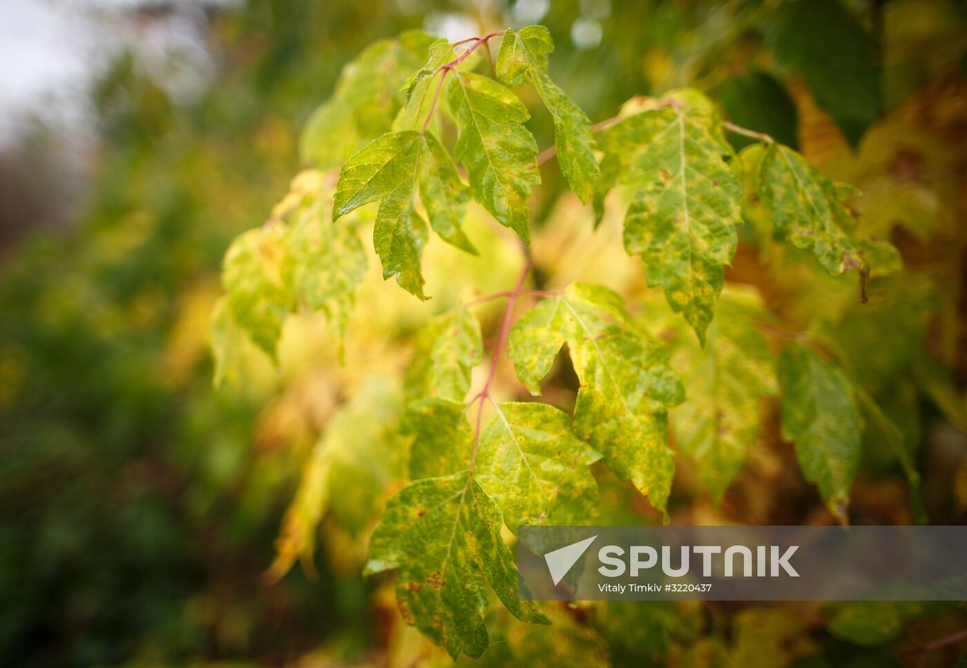 Autumn in Krasnodar Territory