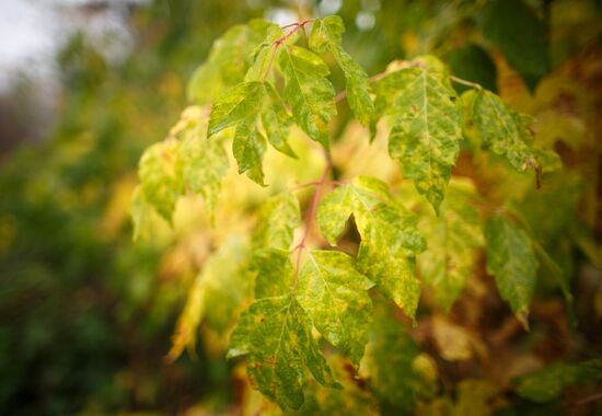 Autumn in Krasnodar Territory