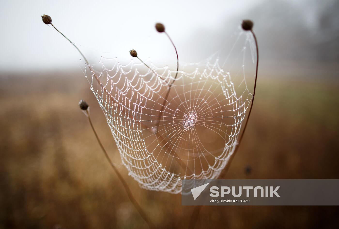 Autumn in Krasnodar Territory