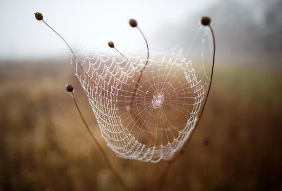 Autumn in Krasnodar Territory