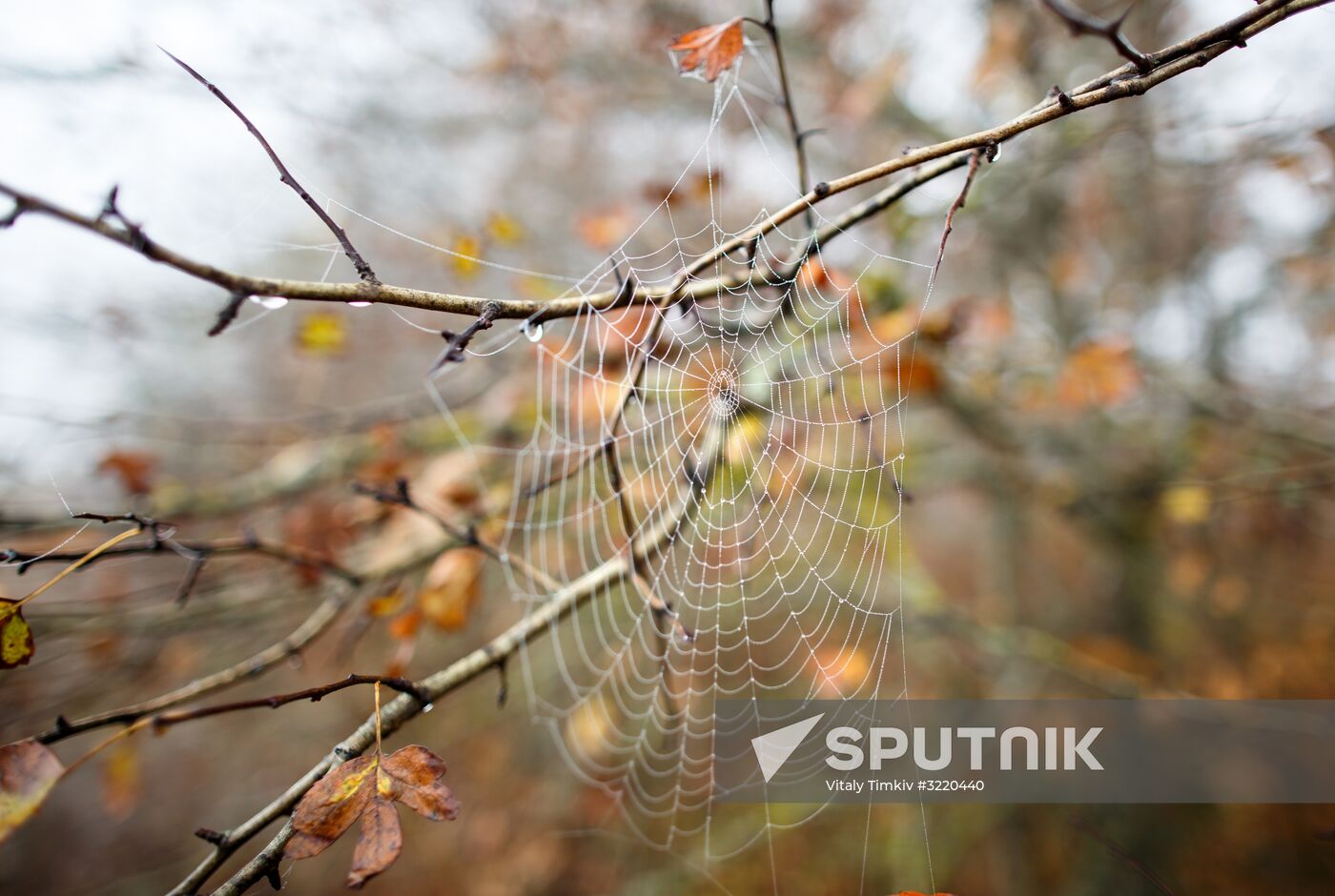 Fall in Krasnodar Territory