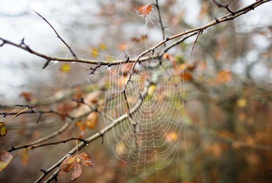 Fall in Krasnodar Territory