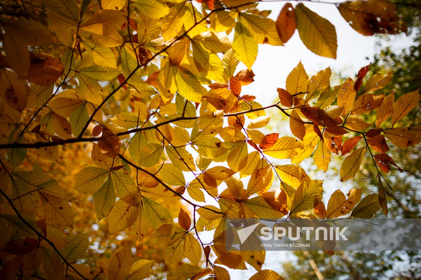 Autumn in Krasnodar Territory